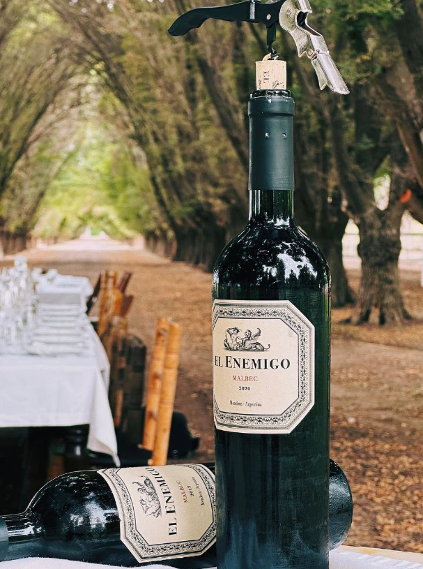 Enemigo Malbec 2021 (Argentina) - Botella